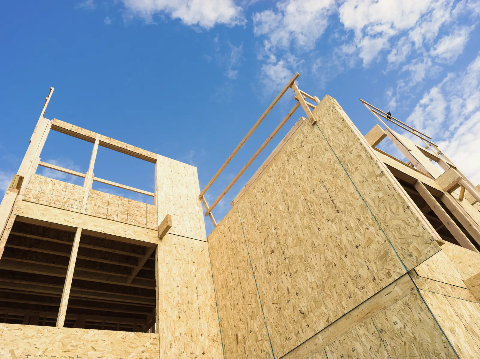 Wall framing and sheathing going up on a new house in late sun